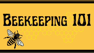 beekeeping class