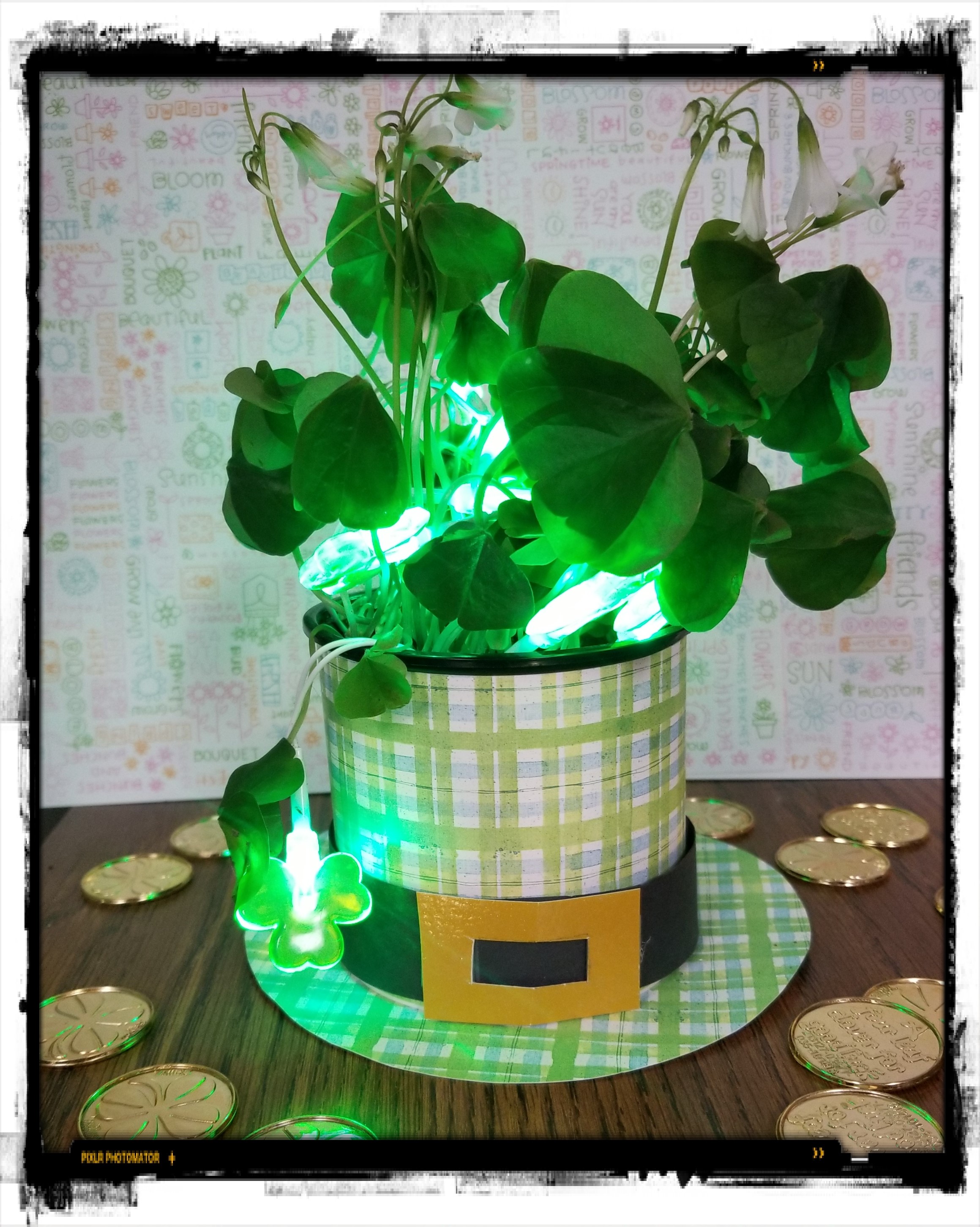 leprechaun hat planter